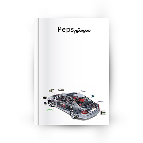 سیستم PEPS