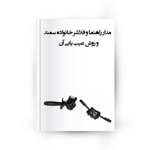 مدار راهنما و فلاشر سمند