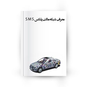 معرفی شبکه مالتی پلکس sms
