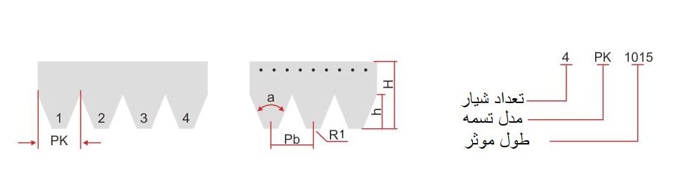 جدول مشخصات تسمه شیاردار