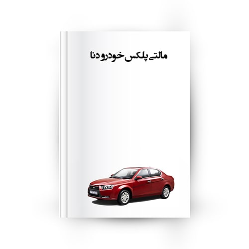 مالتی پلکس دنا
